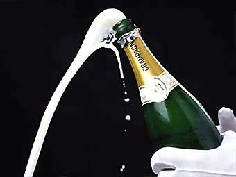 img-213624-5-champagne.gif