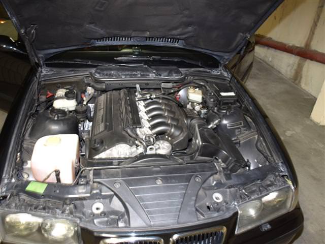 img-215473-1-1242861small.jpg