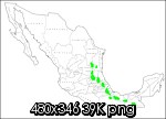 img-215669-1-gtr.th.png