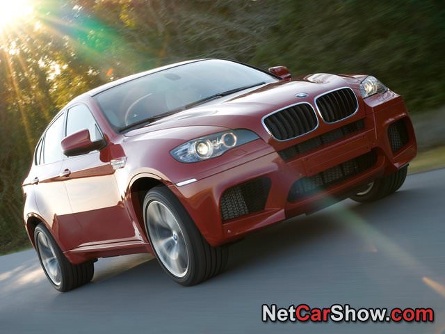 img-223251-1-BMW-X6_M_2010_photo_03.jpg