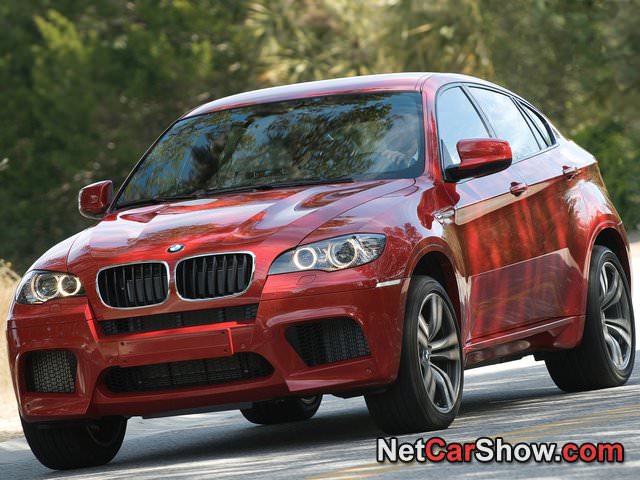 img-223251-2-BMW-X6_M_2010_photo_0e.jpg
