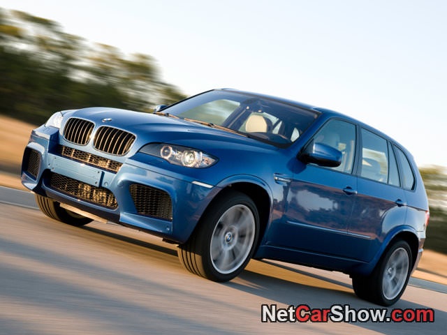 img-223251-8-BMW-X5_M_2010_photo_02.jpg