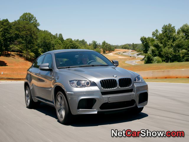 img-223424-1-BMW-X6_M_2010_photo_25.jpg
