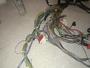 img-543077-2-e68a4b0e42129cc574500e63ed2