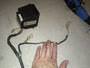 img-543077-72-7522daee2d171c19b5747b8a57
