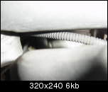 img-92763-4-dsc000681zu.th.jpg