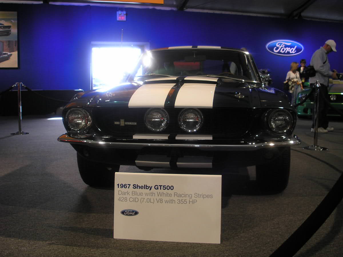img-92957-7-n6e4nb.jpg
