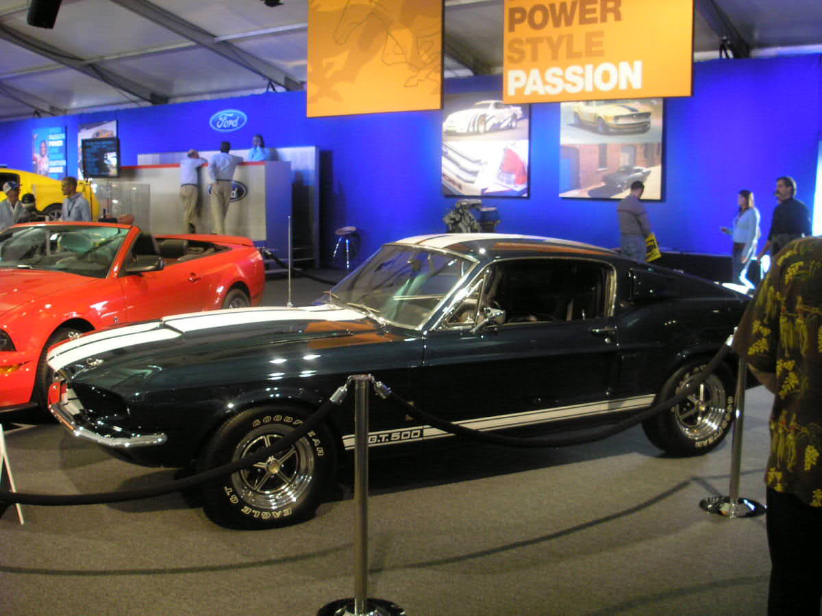 img-92957-8-n6e5h0.jpg