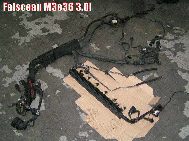 img-99828-2-faiceau30l3ni.jpg