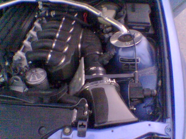img-99968-1-photo0007cd.jpg