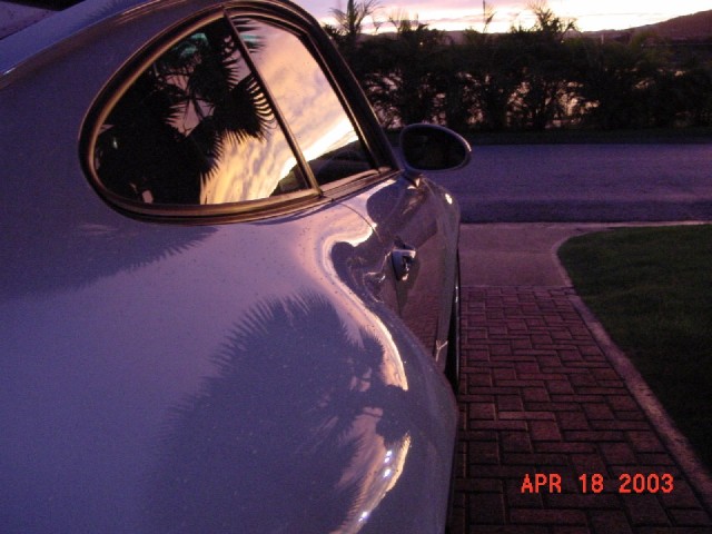 img-22333-1-DSC03302small.sized.jpg