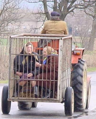 img-42163-1-voiture_roulmaine.jpg