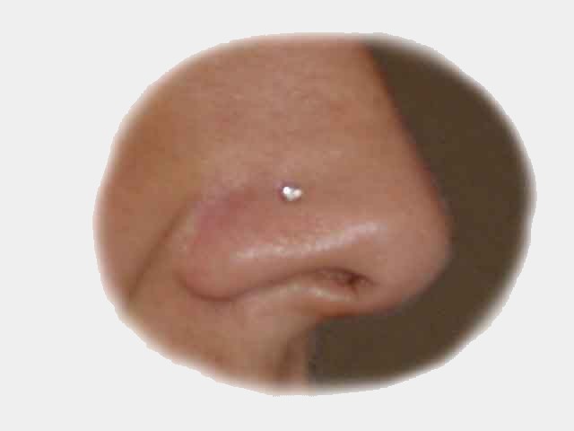 img-44378-1-stud20de20nez2017ri.jpg