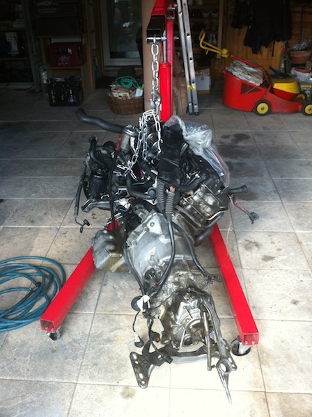 img1445b.jpg