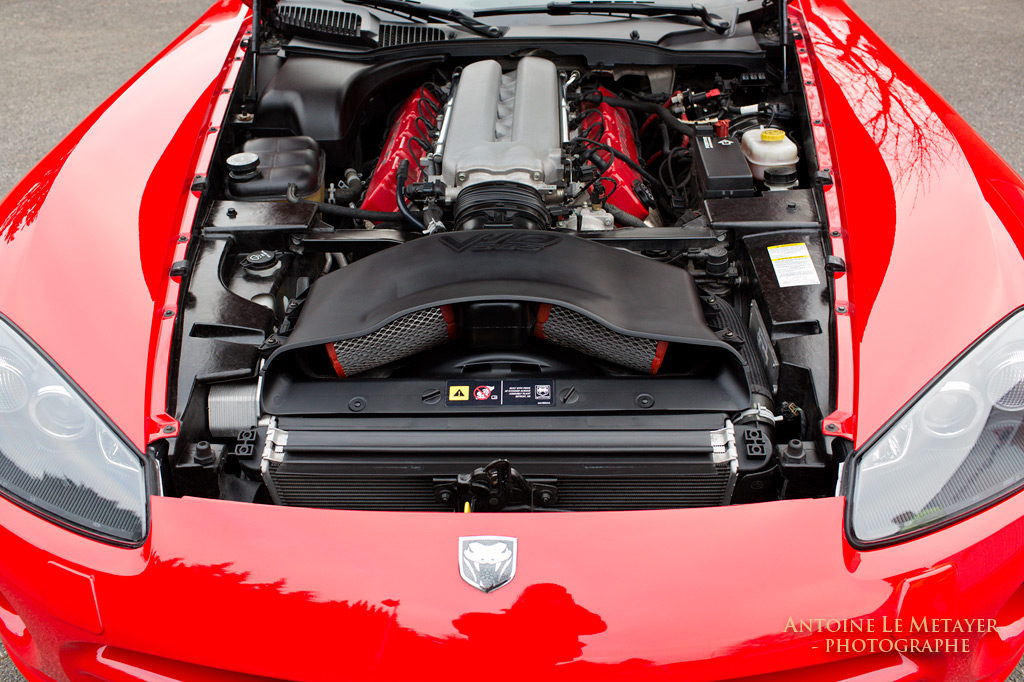 viper1896.jpg