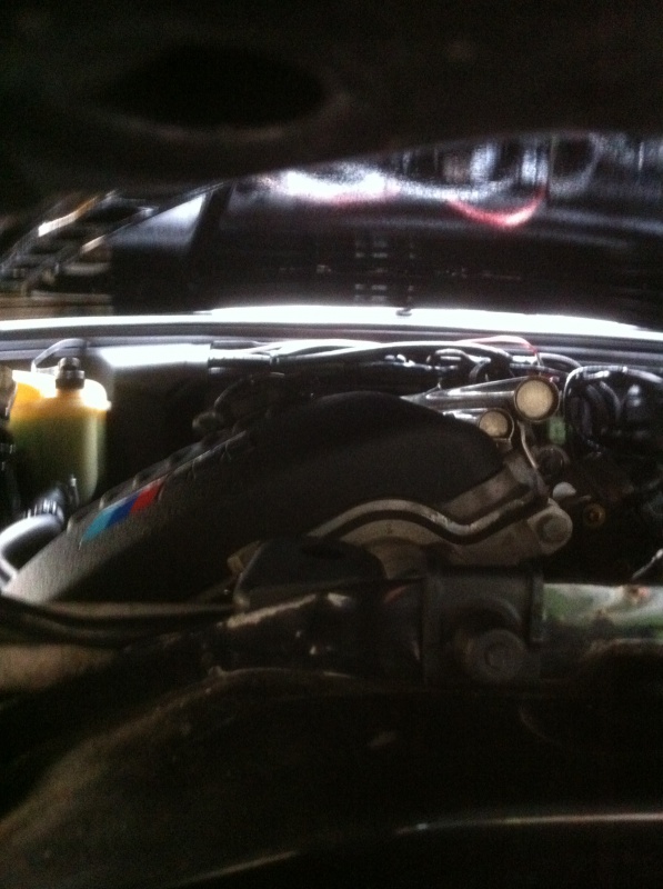 598116Photo732.jpg