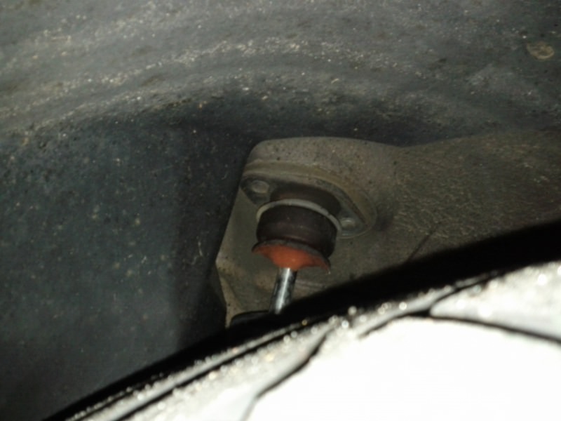 955362cacheamorto.jpg