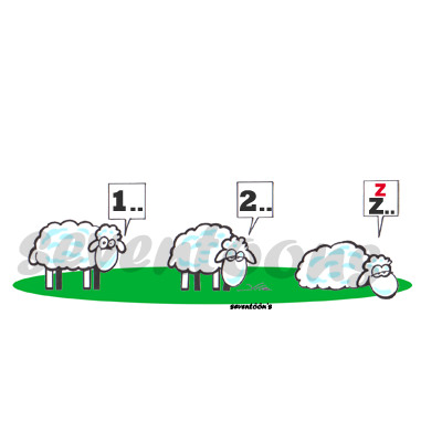254037moutons.jpg