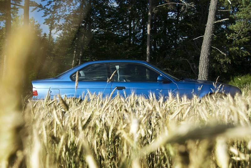 bmw_0010.jpg