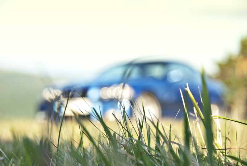 bmw_0011.jpg