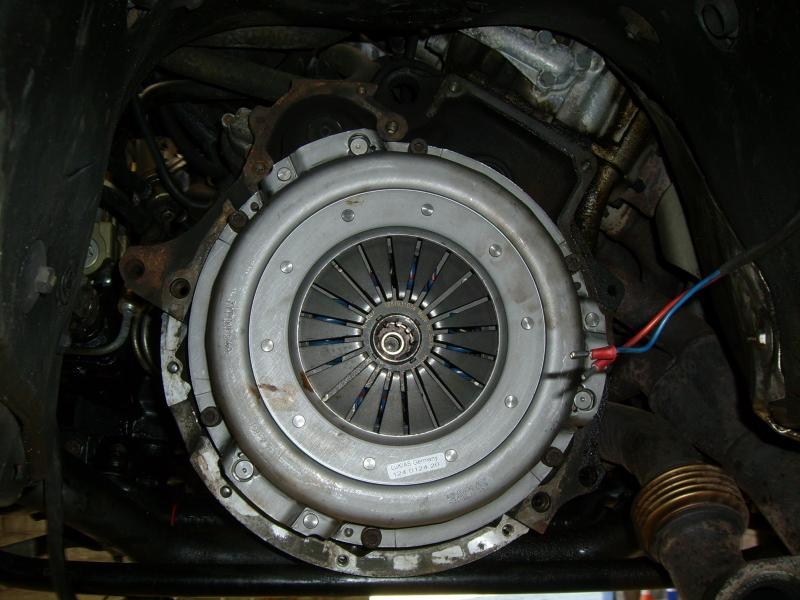 548558M5e3436.jpg