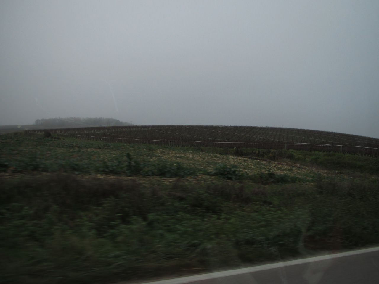 604669008.jpg