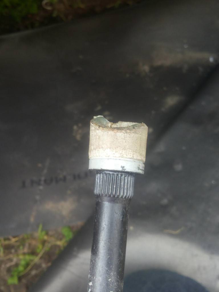 post-15884-0-87889200-1426455061_thumb.j
