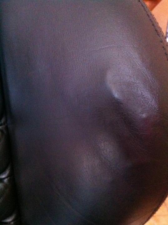 post-8612-0-79716600-1334667106_thumb.jp
