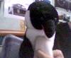 post-1062-12832188192012_thumb.jpg
