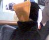 post-1062-1283218819242_thumb.jpg