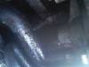 post-11099-12832271375766_thumb.jpg