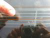 post-1815-12832226708542_thumb.jpg