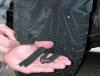 post-22-12832183403547_thumb.jpg