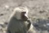 post-265-12832213337453_thumb.jpg