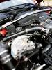post-2775-12832192342248_thumb.jpg
