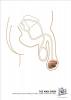 post-389-12832196021535_thumb.jpg