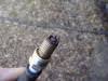 post-5498-12832221715385_thumb.jpg