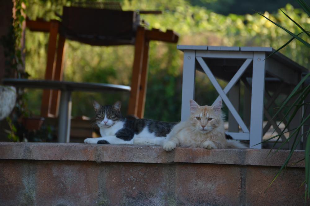 DSC_0031.JPG