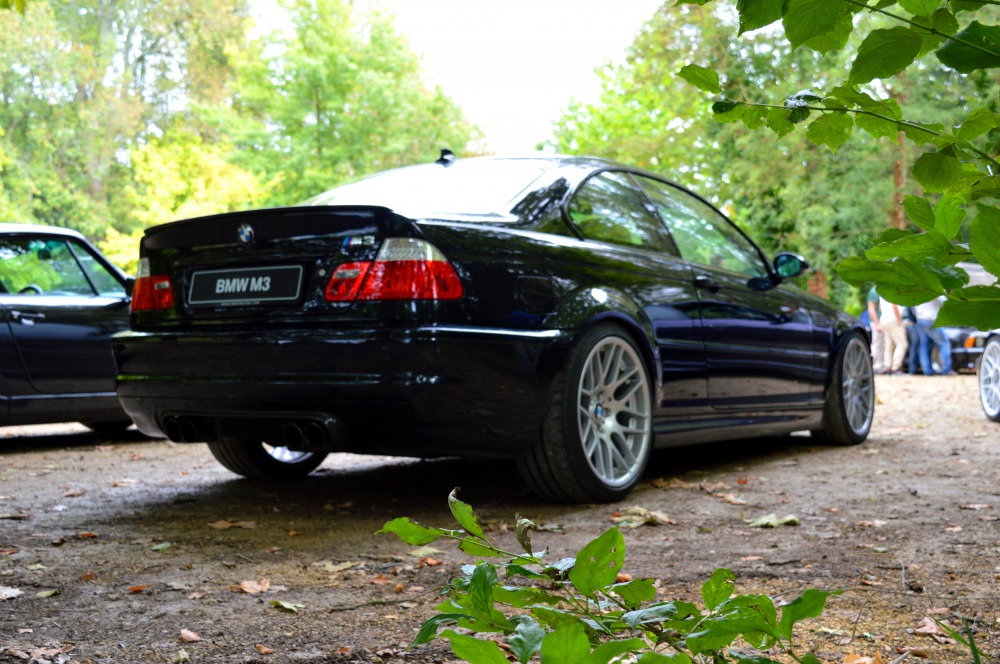 DSC_0135.thumb.JPG.9c3f643668d3b419b5785