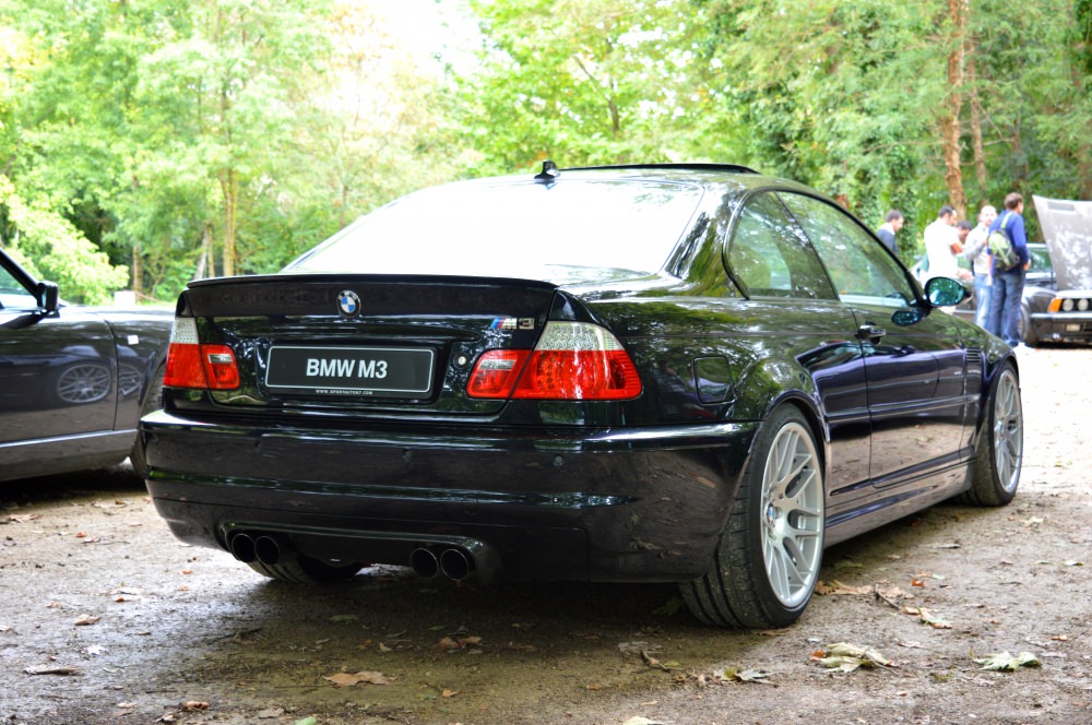 DSC_0136.thumb.JPG.09ba052cfbec410e6c007