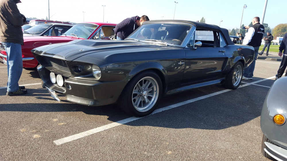 20151004_110216.jpg