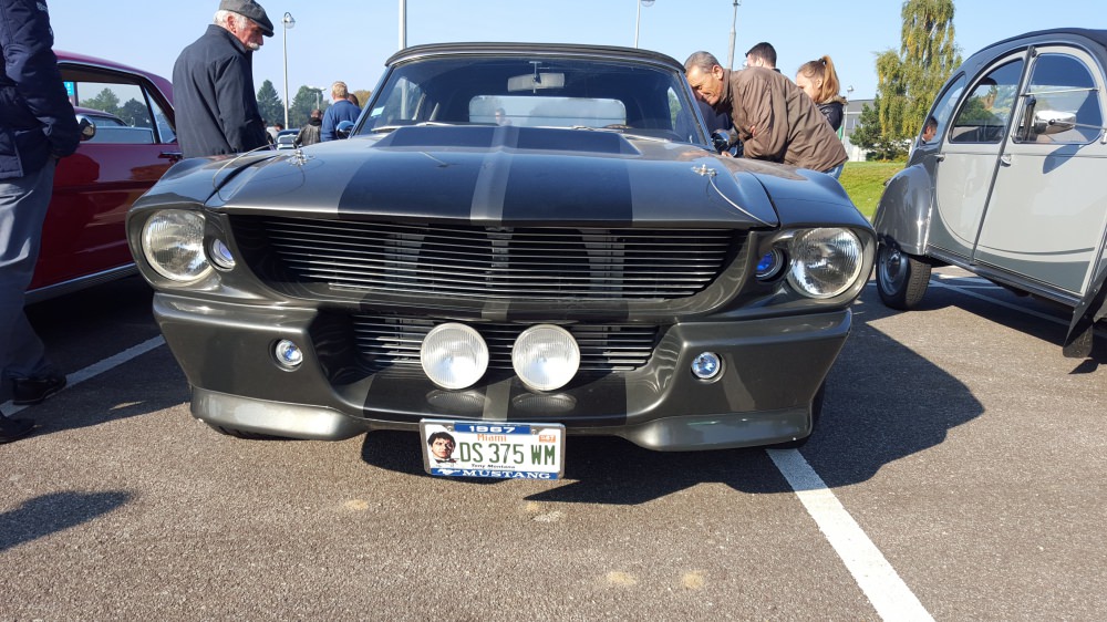 20151004_110256.jpg