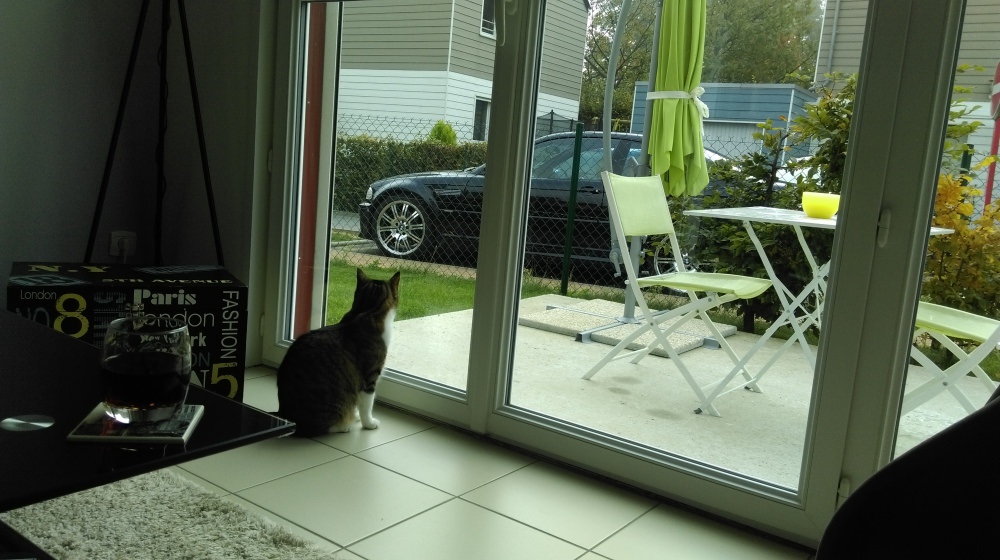 IMAG0279.jpg
