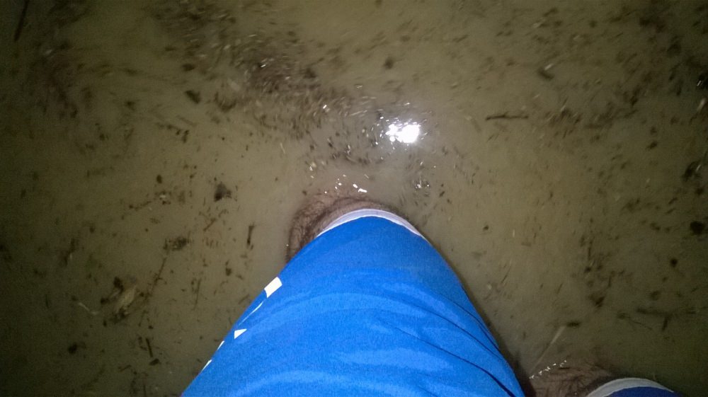 WP_20151003_013.jpg