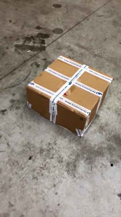 12270077_10153689324133070_445732754_n.t