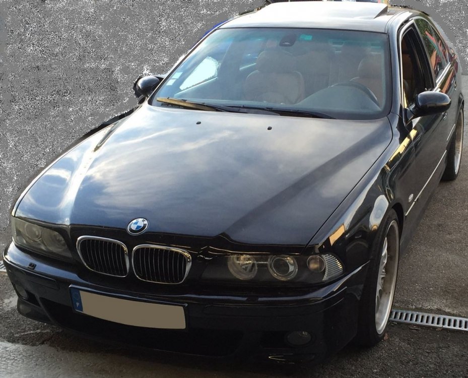 2 M5.jpg