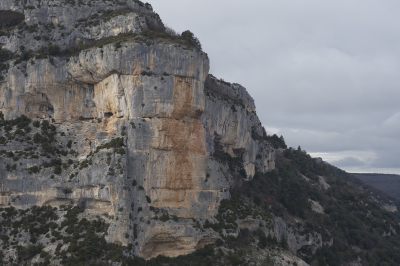 _DSC7682.jpg.8fe6ceba6af1c7e5d73d4a2510b