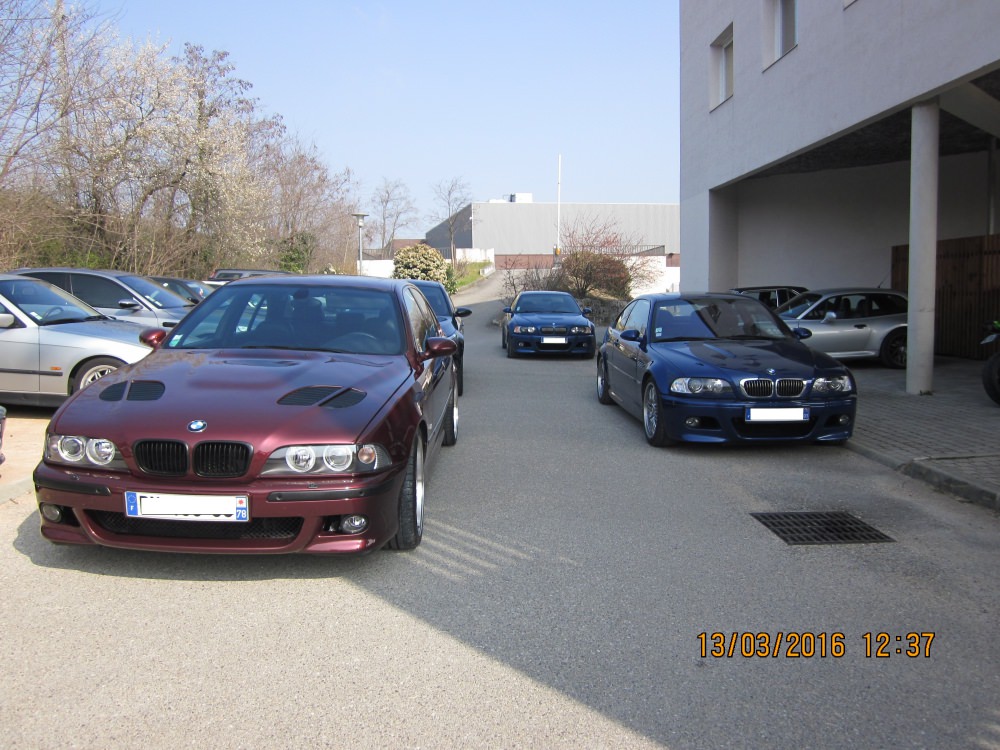 IMG_3984.JPG