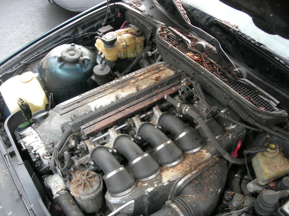 DSCN9758.JPG