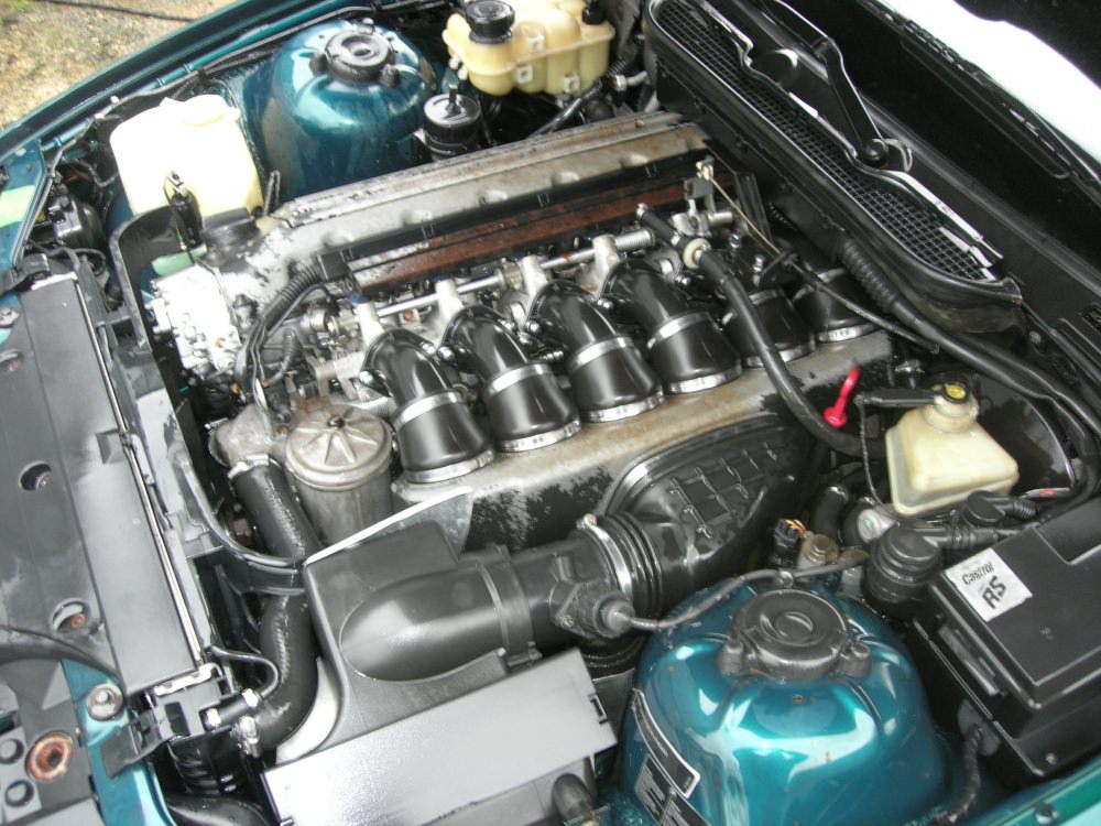 DSCN9766.JPG